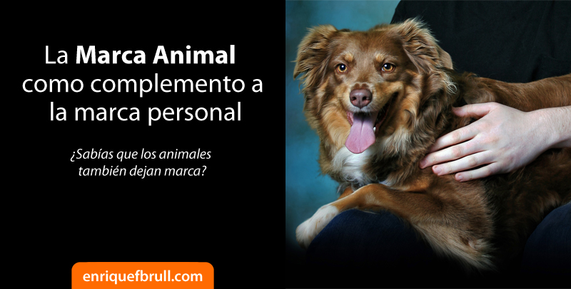 marca animal complemento marca personal